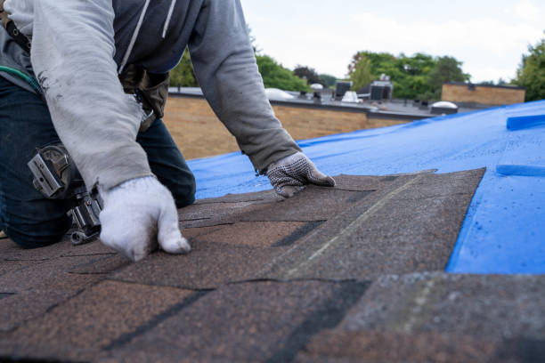 Best Roof Repair Services  in Comstock Park, MI