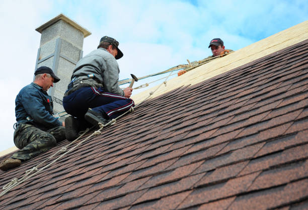 Best Roof Leak Repair  in Comstock Park, MI